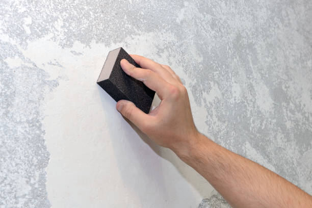 Professional Mold Removal in Mocksville, NC